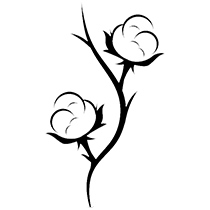 Daastan